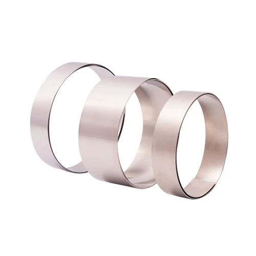 Striscia di acciaio inossidabile 409