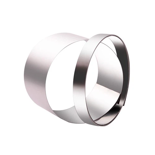 Striscia di acciaio inossidabile 420